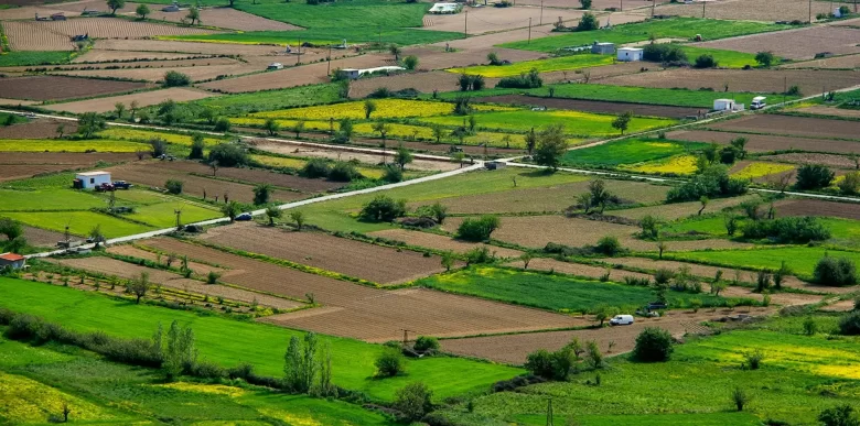 Top Reasons to Invest in Godrej Doddaballapur Plots: Premium Residential Opportunity in North Bangalore 19 Godrej Doddaballapur