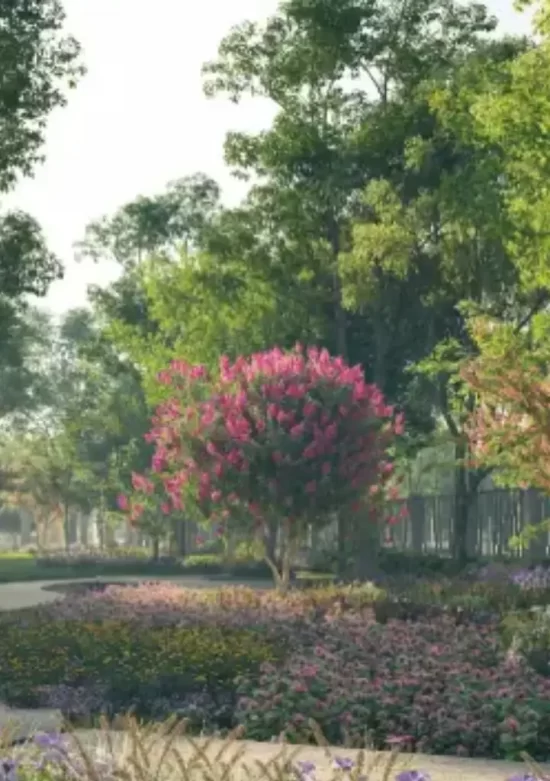 Residential plots Doddaballapura